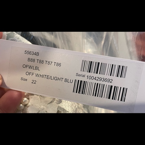 Plus Size Prom Dress - Picture 6 of 6